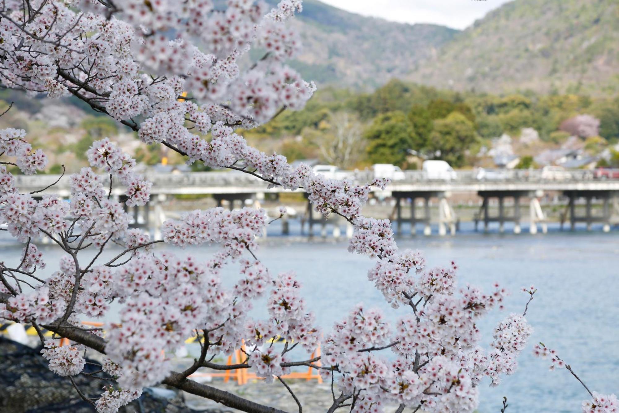 Kyoto Arashiyama Onsen Ryokan Togetsutei المظهر الخارجي الصورة